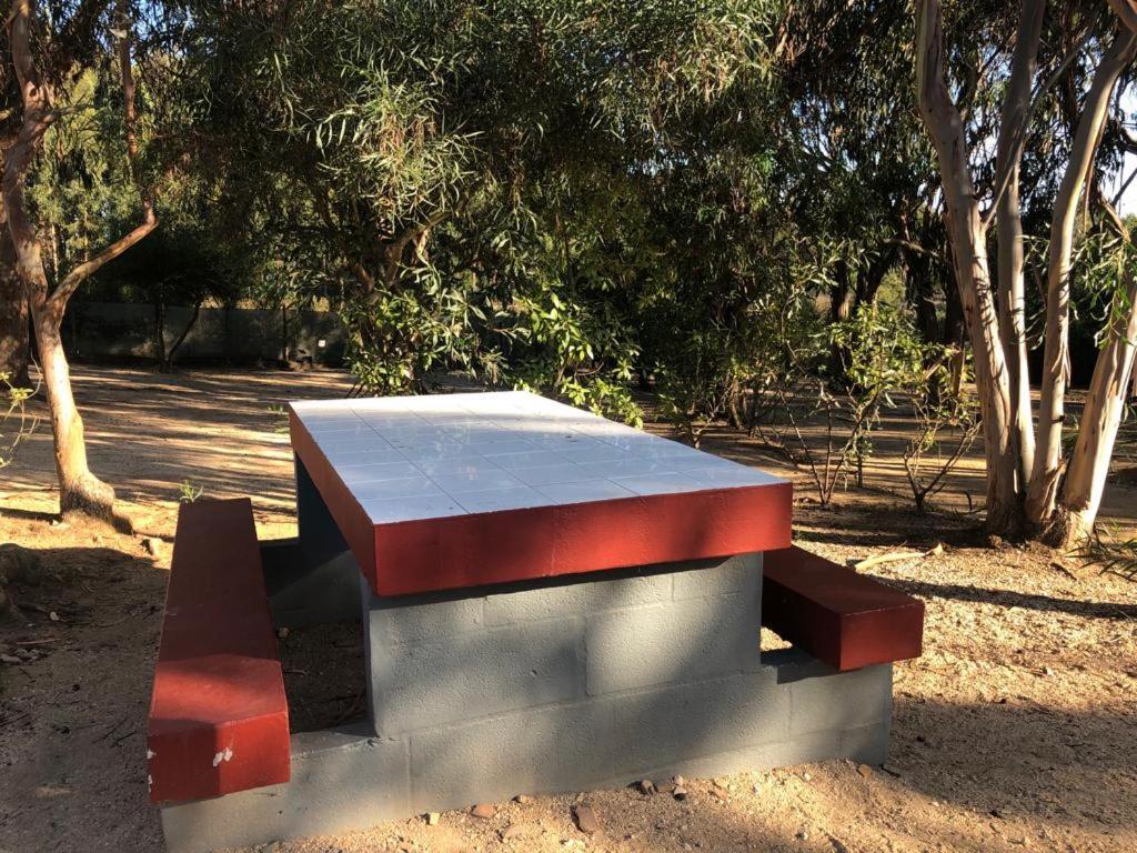 Park Camping
